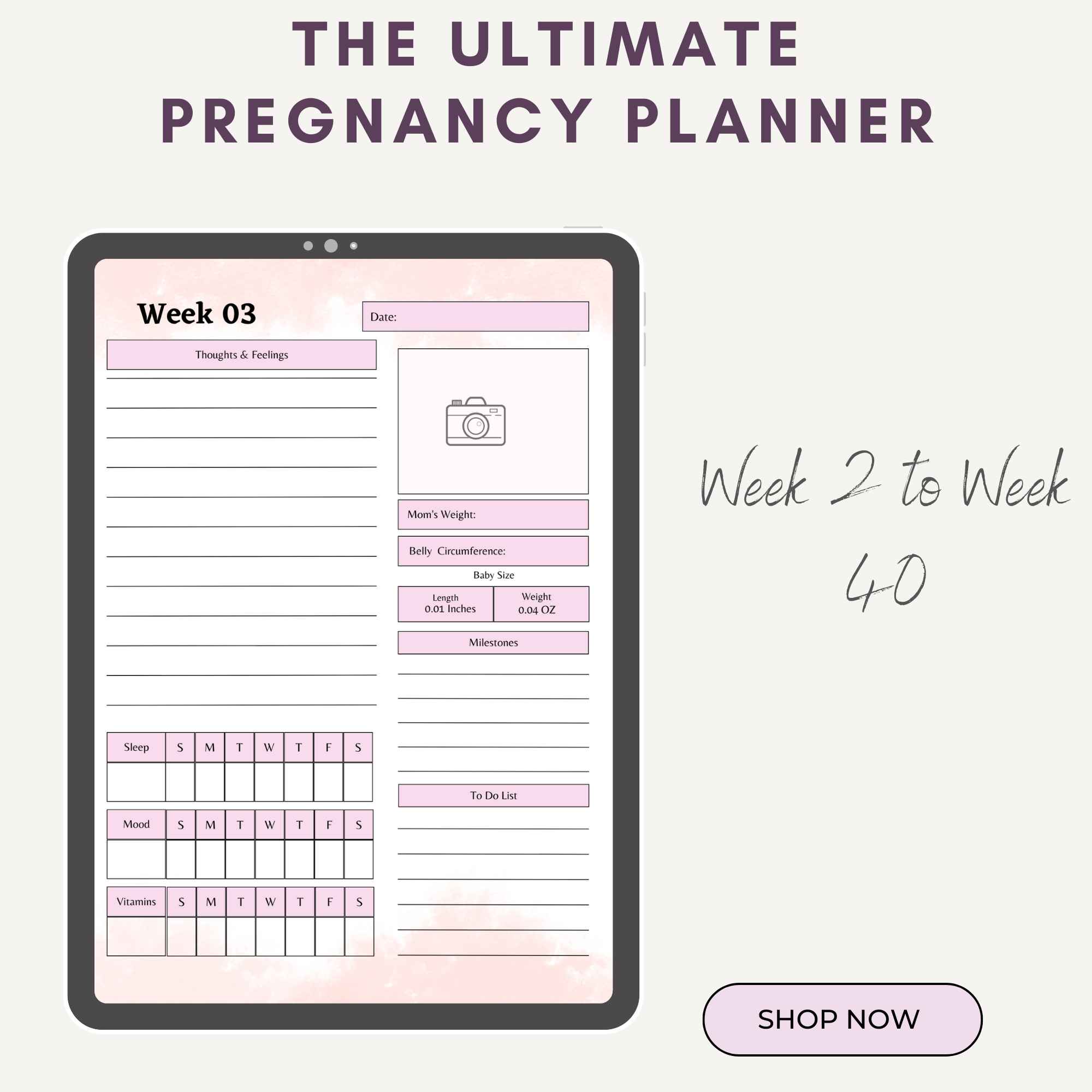 Printable Birth Plan Template